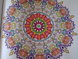 whatsapp bild 2025-03-28 um 11.23.59_e8522f9f